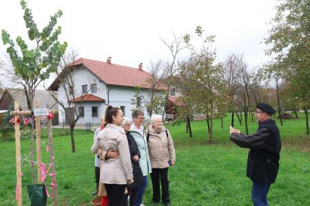 Posaditev  rožnatega drevesa v Pocinovem vrtu 26 Foto Ljubo Vukelič